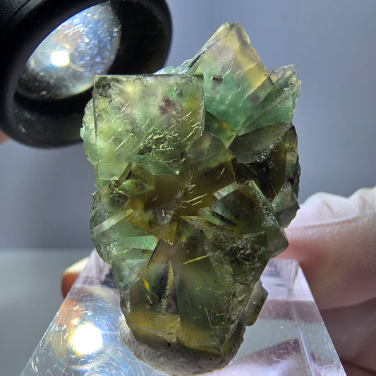Phantom Fluorit Würfel Stufe, grün lila Okorusu, Namibia 31*24*11mm