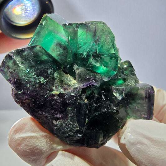 Spécimen de cube de fluorite fantôme, parqueté vert violet Okorusu, Namibie 50*43*30 mm 