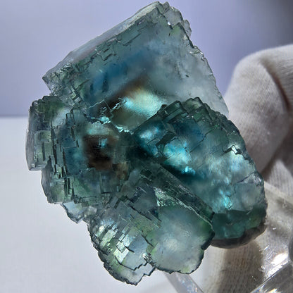 Spécimen de cube de fluorite fantôme, parqueté vert-brun Okorusu, Namibie 48 x 43 x 23 mm 