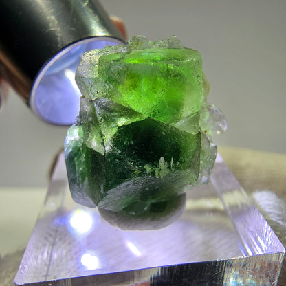 Cube de fluorite fantôme, spécimen de tourmaline Schorl, Erongo, Namibie, 23 x 19 x 15 mm 