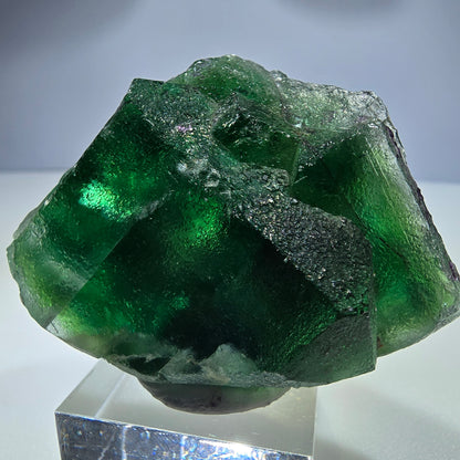 Seltene Phantom Fluorit Würfel Stufe grün Okorusu, Namibia 61*43*27mm