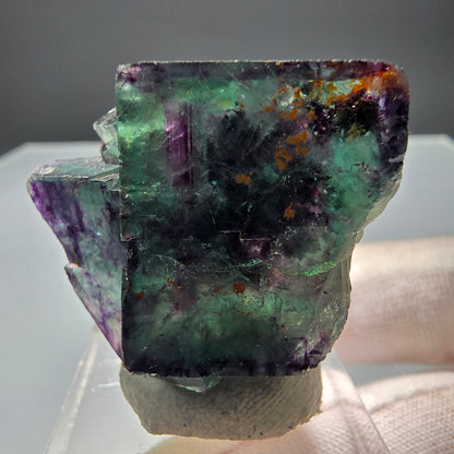 Rare Phantom Fluorite Cube Tier Tie-Dye Pocket, Okorusu, Namibie 28*32*15mm 