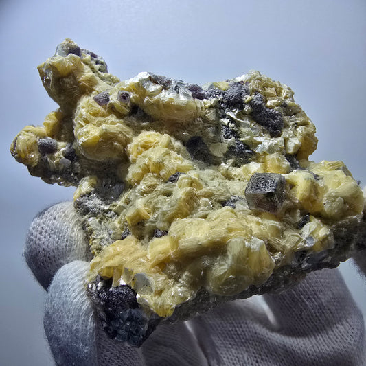 Cubes de fluorite fantôme colorés, spécimen de muscovite, Erongo, Namibie, 79 x 62 x 25 mm 