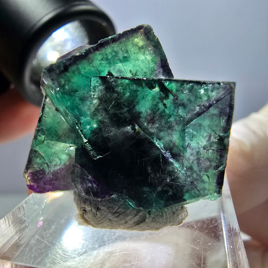 Spécimen de cube de fluorite fantôme, parqueté vert violet Okorusu, Namibie 27 x 24 x 15 mm 