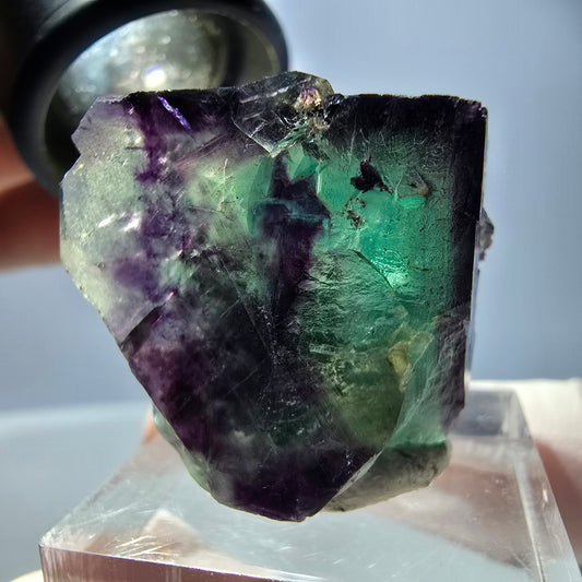 Spécimen de cube de fluorite fantôme, parqueté vert violet Okorusu, Namibie 31*22*16 mm 