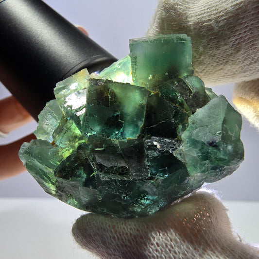 Rare spécimen de cube de fluorite fantôme, parqueté vert Okorusu, Namibie, 43 x 39 x 20 mm 