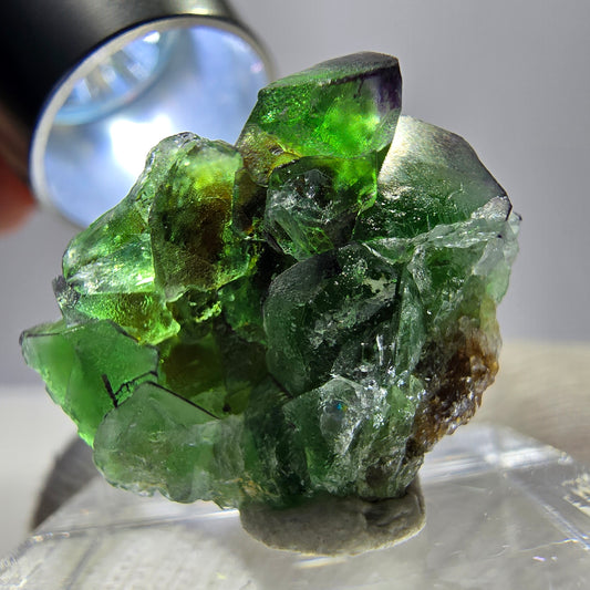 Cube de fluorite fantôme zonal, vert brun violet Erongo, Namibie 24*17*13mm 