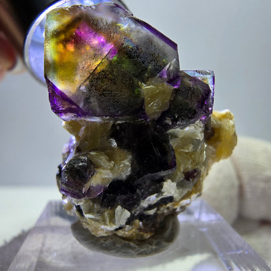 Spécimen de fluorite fantôme colorée, tourmaline scholle, muscovite, Erongo, Namibie, 27 x 24 x 18 mm 
