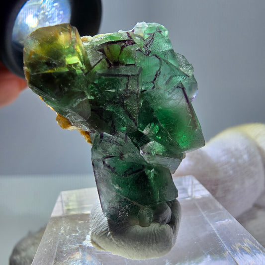 Cube de fluorite fantôme zonal, tourmaline muscovite Schörl Erongo Namibie 31 x 22 x 20 mm 