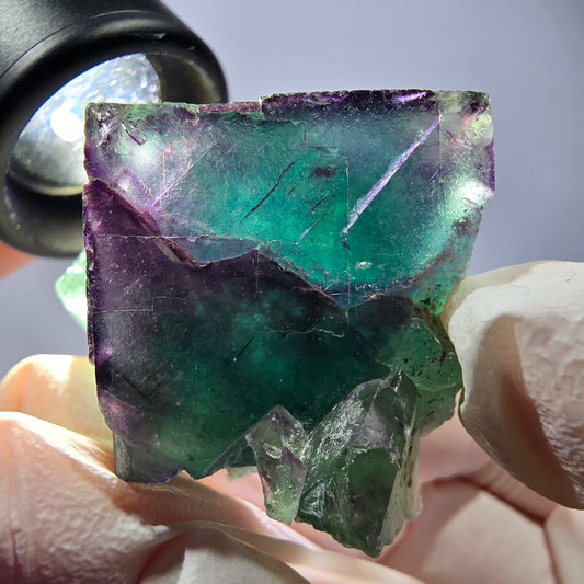 Spécimen de cube de fluorite fantôme, parqueté vert violet Okorusu, Namibie 40*32*25 mm 