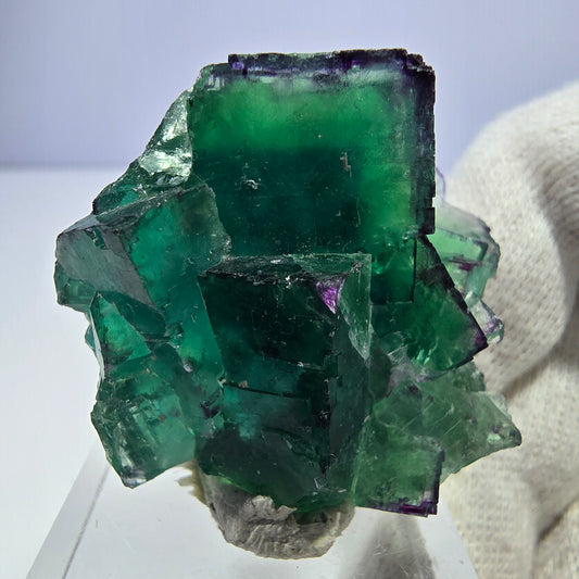 Spécimen rare de cube de fluorite fantôme, vert zonal et violet, Okorusu, Namibie, 39 x 34 x 19 mm 