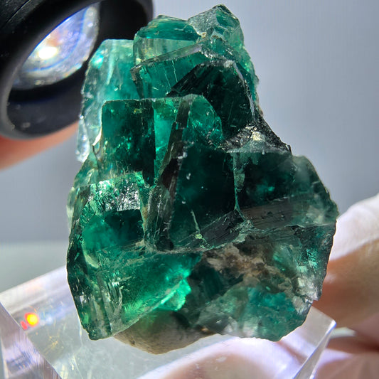Spécimen de cube de fluorite fantôme, parquet vert Okorusu, Namibie 37 x 29 x 20 mm 