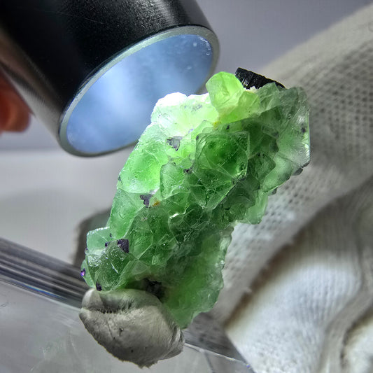 Cube de fluorite fantôme zonal, spécimen de tourmaline Schorl, Erongo, Namibie, 25 x 12 x 12 mm 