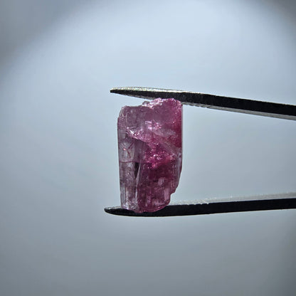 Cristal de tourmaline rubellite rare, rose Minas Gerais, Brésil 13 x 8 x 6 mm 