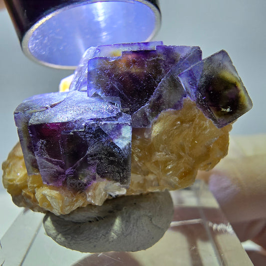 Cubes de fluorite fantôme colorés, spécimen de muscovite, Erongo, Namibie, 32 x 27 x 13 mm 