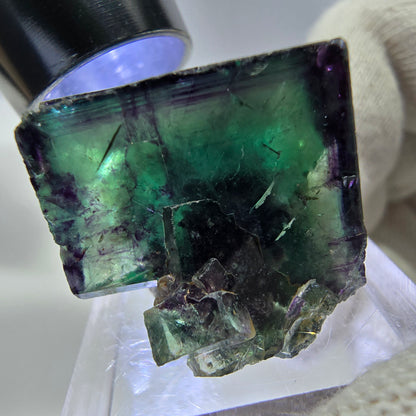 Spécimen rare de cube de fluorite fantôme, vert zonal et violet, Okorusu, Namibie, 29 x 21 x 18 mm 