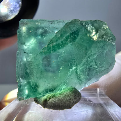 Cube de fluorite fantôme transparente parquetée, vert Okorusu, Namibie 28 x 21 x 10 mm 
