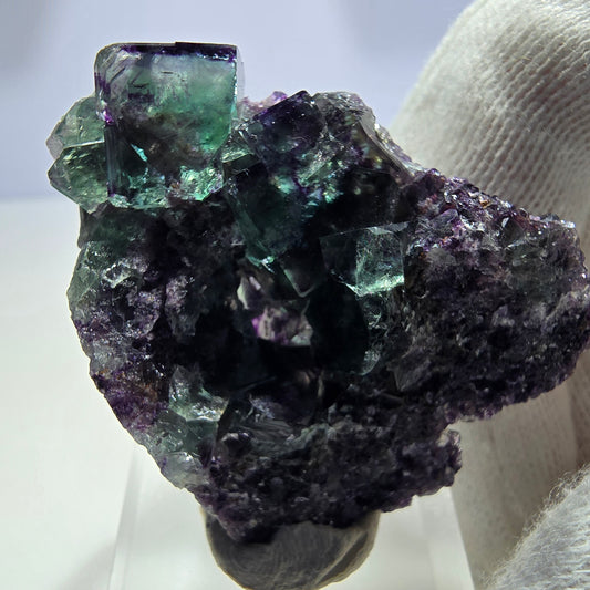 Seltene Phantom Fluorit Würfel Stufe zonal grün lila Okorusu, Namibia 43*36*15mm