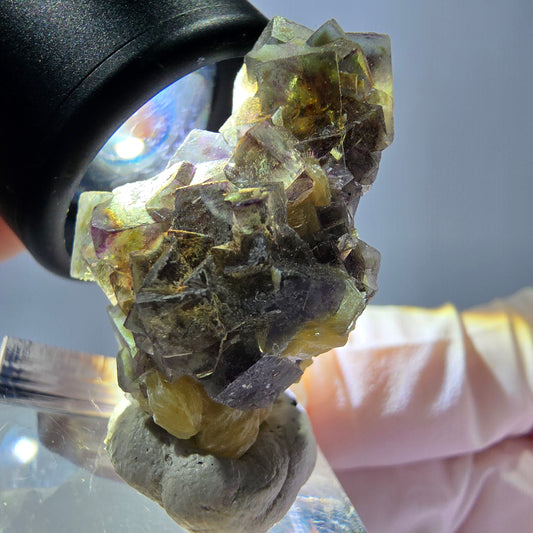 Cubes de fluorite fantôme colorés, spécimen de muscovite, Erongo, Namibie, 33 x 20 x 16 mm 
