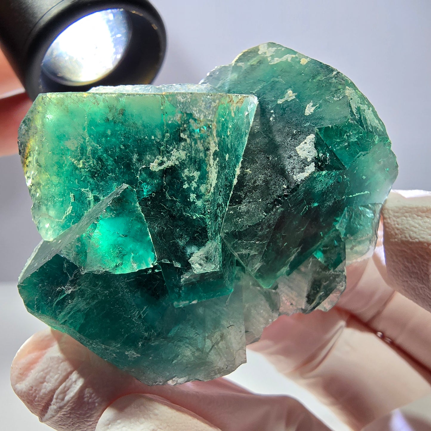 Spécimen de cube de fluorite fantôme, parqueté vert violet Okorusu, Namibie 51*46*28 mm 