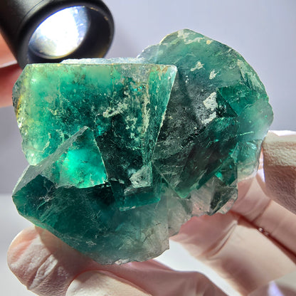 Spécimen de cube de fluorite fantôme, parqueté vert violet Okorusu, Namibie 51*46*28 mm 