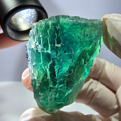 Spécimen de cube de fluorite fantôme transparente, vert parqueté, Okorusu, Namibie, 50 x 30 x 22 mm 