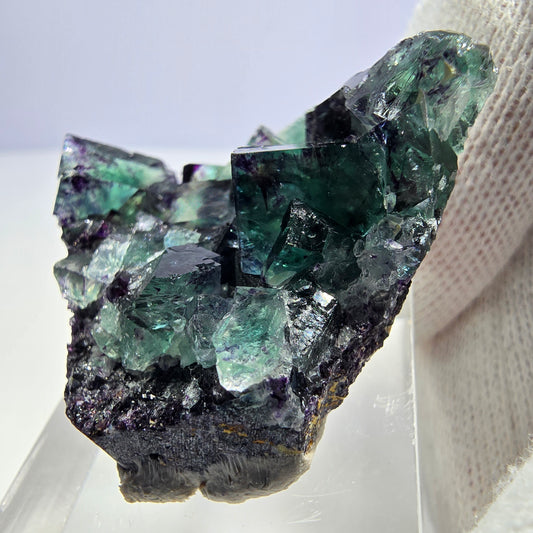 Seltene Phantom Fluorit Würfel Stufe zonal grün lila Okorusu, Namibia 38*32*13mm