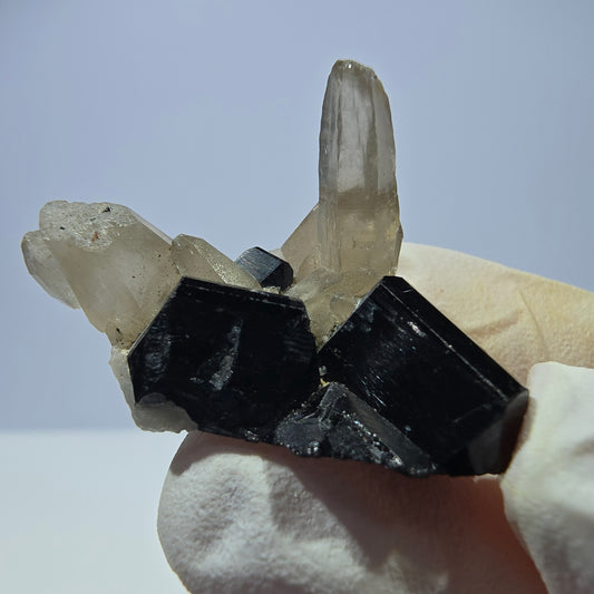 Tourmaline Schorl symétrique, spécimen de quartz fumé, Erongo, Namibie, 33 x 21 x 23 mm 