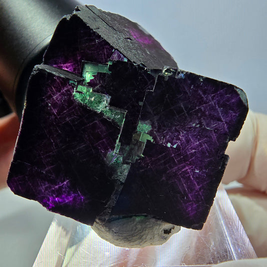 Phantom Fluorit Würfel Stufe grün lila zonal 11:11 Angel Pocket, Namibia 30*28*25mm