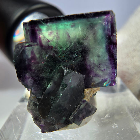 Seltene Phantom Fluorit Würfel Stufe zonal grün lila Okorusu, Namibia 24*16*17mm