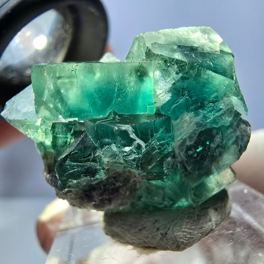 Rare spécimen de cube de fluorite fantôme, vert Okorusu, Namibie 26 x 23 x 16 mm 