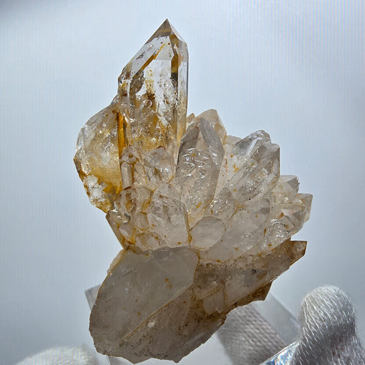 Enhydro Phantom Rauchquarz Zepter Stufe, 2x Blase Goboboseb, Namibia 51*42*29mm