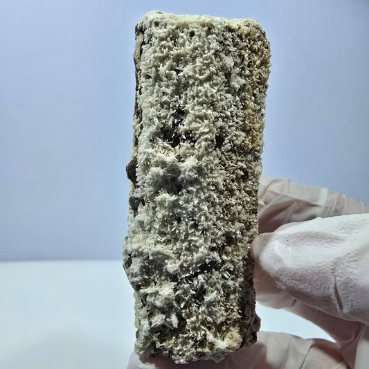 Spécimen rare de tourmaline Schorl, d'opale hyalite et d'orthose, Erongo, Namibie, 71 x 31 x 29 mm 
