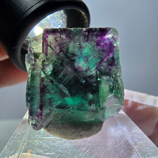 Spécimen de cube de fluorite fantôme, parqueté vert violet Okorusu, Namibie 22*22*18 mm 