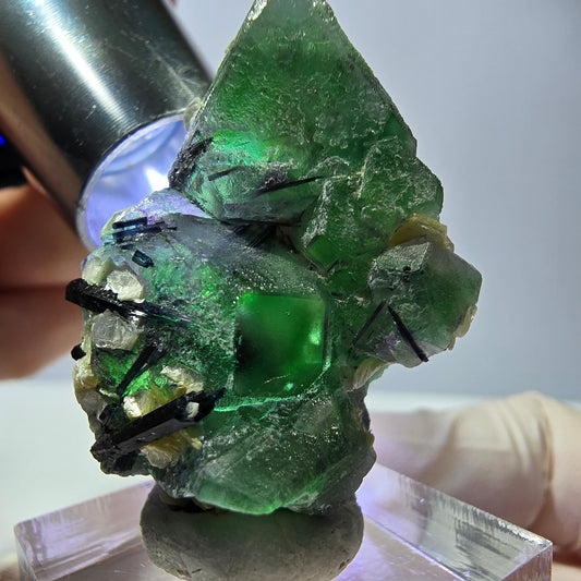 Cube de fluorite fantôme hexagonal, muscovite, tourmaline Schörl Erongo, Namibie 39*25*21mm 