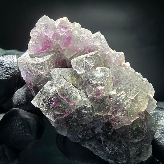 Phantom Fluorite Cube Tier Vert Violet Blanc Okorusu, Namibie 52*33*27mm Collection
