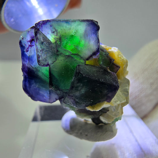 Fluorite fantôme zonale, muscovite, tourmaline Schörl, quartz fumé Erongo, Namibie 27*20*17 mm 