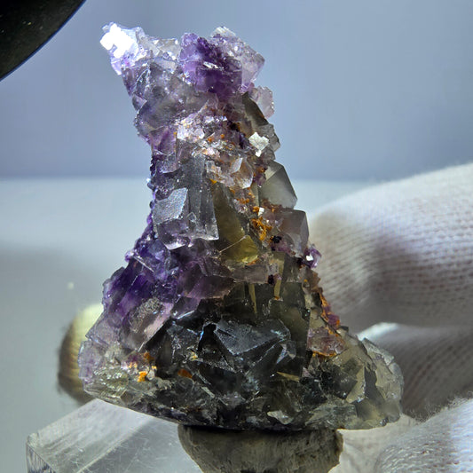 Spécimen rare de cube de fluorite fantôme zonal jaune violet Okorusu, Namibie 44*27*16mm