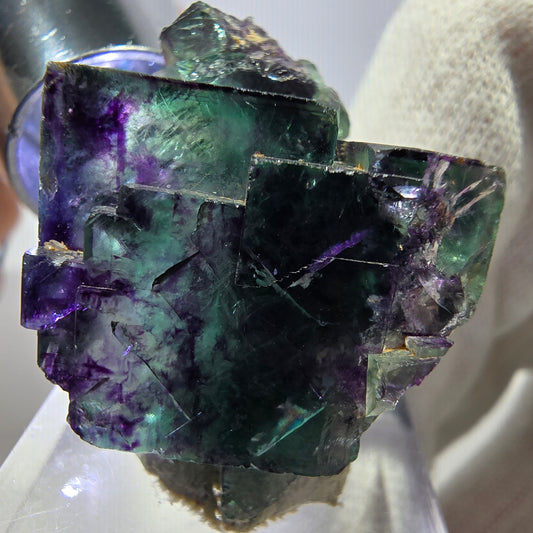 Spécimen zonal de cube de fluorite fantôme, vert violet, Okorusu, Namibie, 34 x 24 x 20 mm 