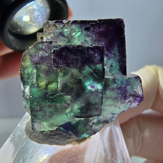 Spécimen de cube de fluorite fantôme, parqueté vert violet Okorusu, Namibie 33*25*19 mm 