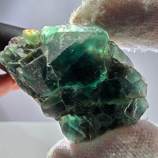 Spécimen rare de cube de fluorite fantôme, vert Okorusu Namibie 52 x 33 x 18 mm 