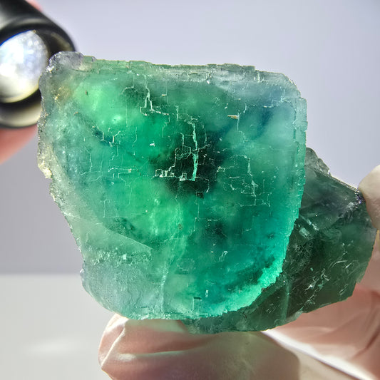 Spécimen de cube de fluorite fantôme transparente, vert parqueté, Okorusu, Namibie, 44 x 32 x 22 mm 