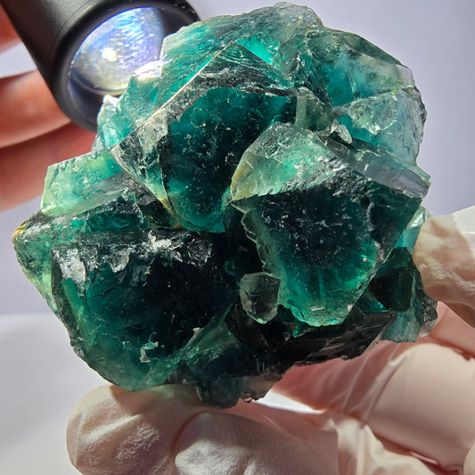 Spécimen de cube de fluorite fantôme, parqueté vert violet Okorusu, Namibie 53*49*28 mm 