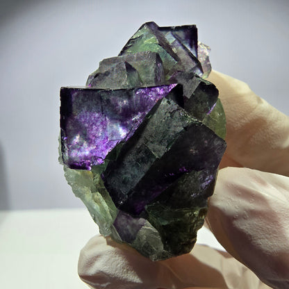 Spécimen de cube de fluorite fantôme, parqueté, zonal Okorusu, Namibie 51 x 30 x 24 mm 