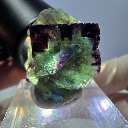 Spécimen de cube de fluorite fantôme, parqueté vert violet Okorusu, Namibie 27*25*20 mm 