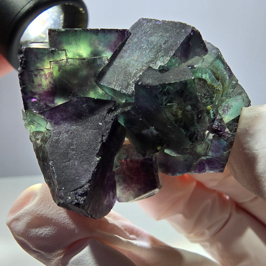 Spécimen de cube de fluorite fantôme parqueté vert violet Okorusu, Namibie 47*36*22mm 