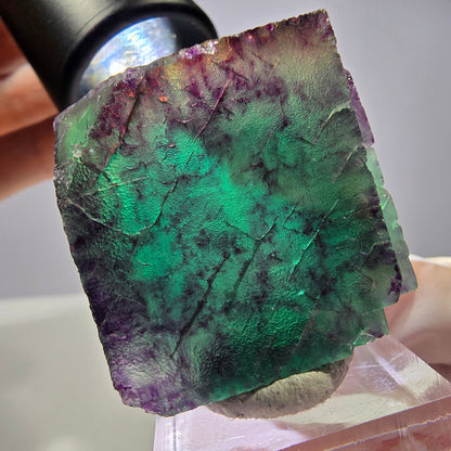Rare cube de fluorite fantôme parqueté vert violet Okorusu Namibie 35*35*25mm 