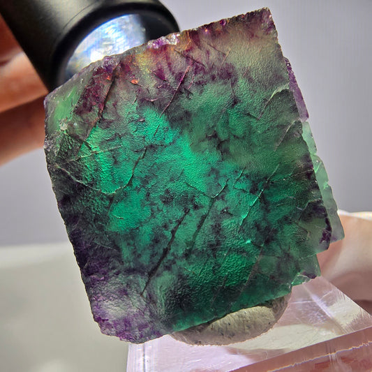 Rare cube de fluorite fantôme parqueté vert violet Okorusu Namibie 35*35*25mm 