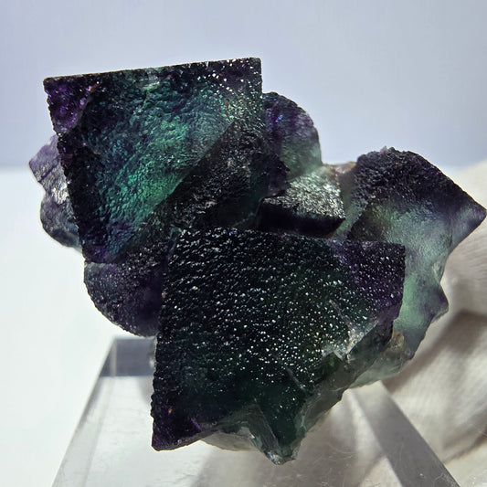 Spécimen zonal de cube de fluorite fantôme, vert violet, Okorusu, Namibie, 40 x 30 x 26 mm 