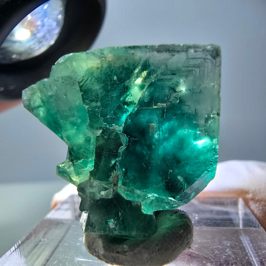 Phantom Fluorit Würfel Stufe, grün parkettiert Okorusu, Namibia 21*21*13mm